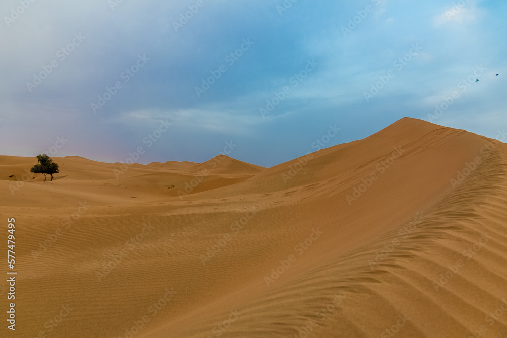 Al Ain Desert
Al Ain, Desert, UAE, View, Tour Al Ain Desert
Al Ain, Desert, UAE, View, Tour