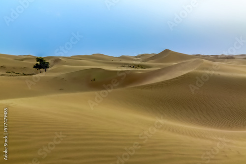 Al Ain Desert Al Ain  Desert  UAE  View  Tour