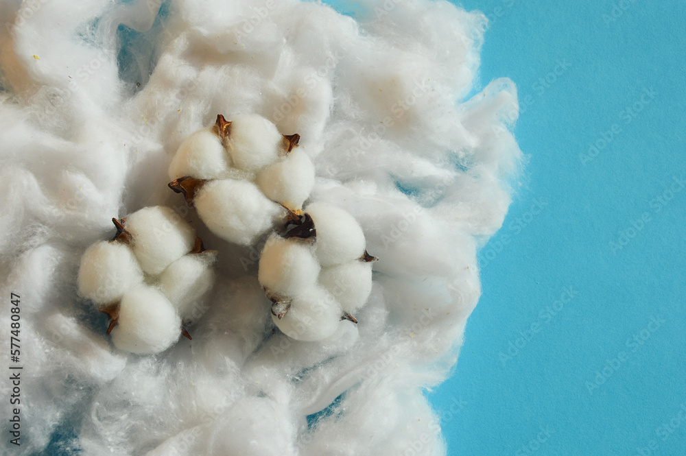 natural cotton. background for the design. natural cotton. background for the design.
