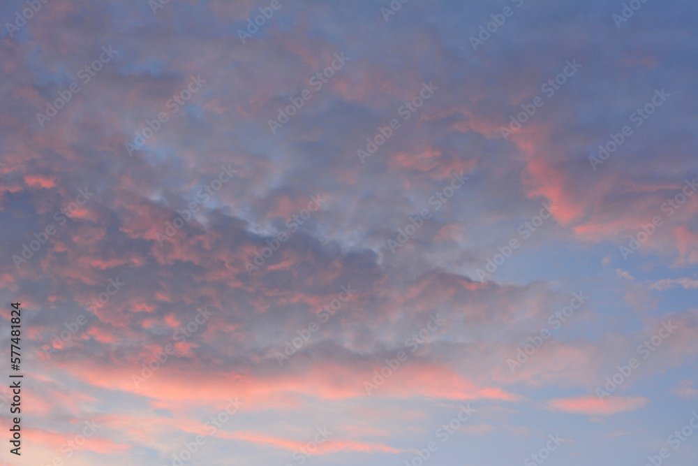 dramatic cloudscape with pink clouds in the sky isolated on evening sky 