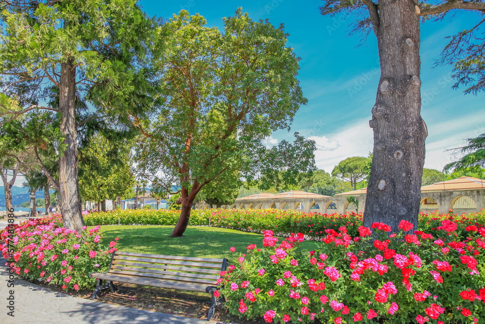 Idyllic public park with roses at springtime in Lazise, Lake Garda, Italy
