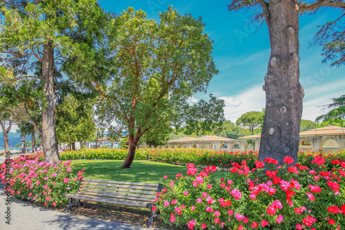 Idyllic public park with roses at springtime in Lazise  Lake Garda  Italy