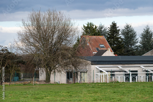 Merchtem, Flemish Brabant Region, Belgium, Green meadows and glasshouses at a Belgian farm