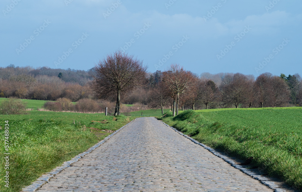 Old cobble stone road through the fields around Asse, Belgium