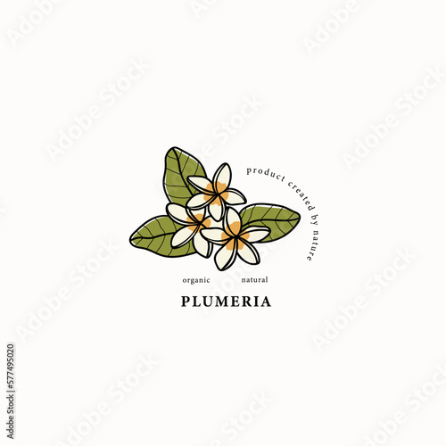 Line art plumeria flowers drawing

