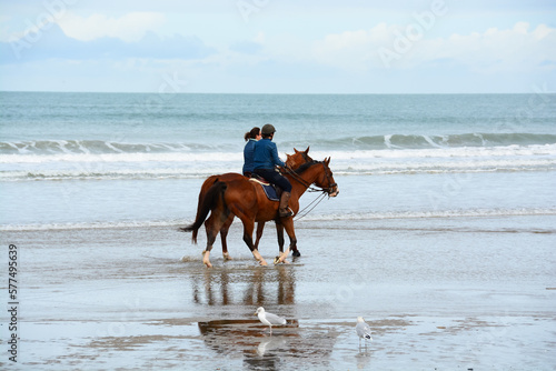 Cheveaux - Cavaliers - Plage de Deauville - Normandie