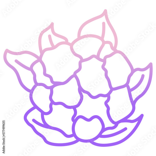 Cauliflower icon