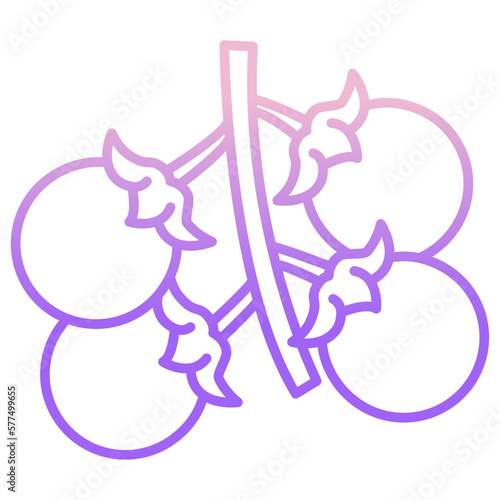 Cherry tomatos icon