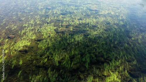 Southern Urals, mountain river Zilim near the Kinderlin cave: stone riverbed and algae. Aerial view. photo