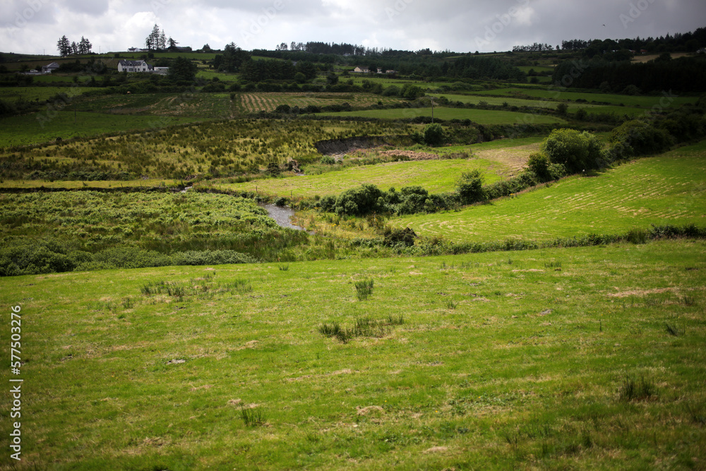 Countryside around Kishkeam - road to Newmarket - County Cork - Ireland