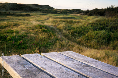 фотографія A wide angle view on Nature reserve at the northern sea Danmark