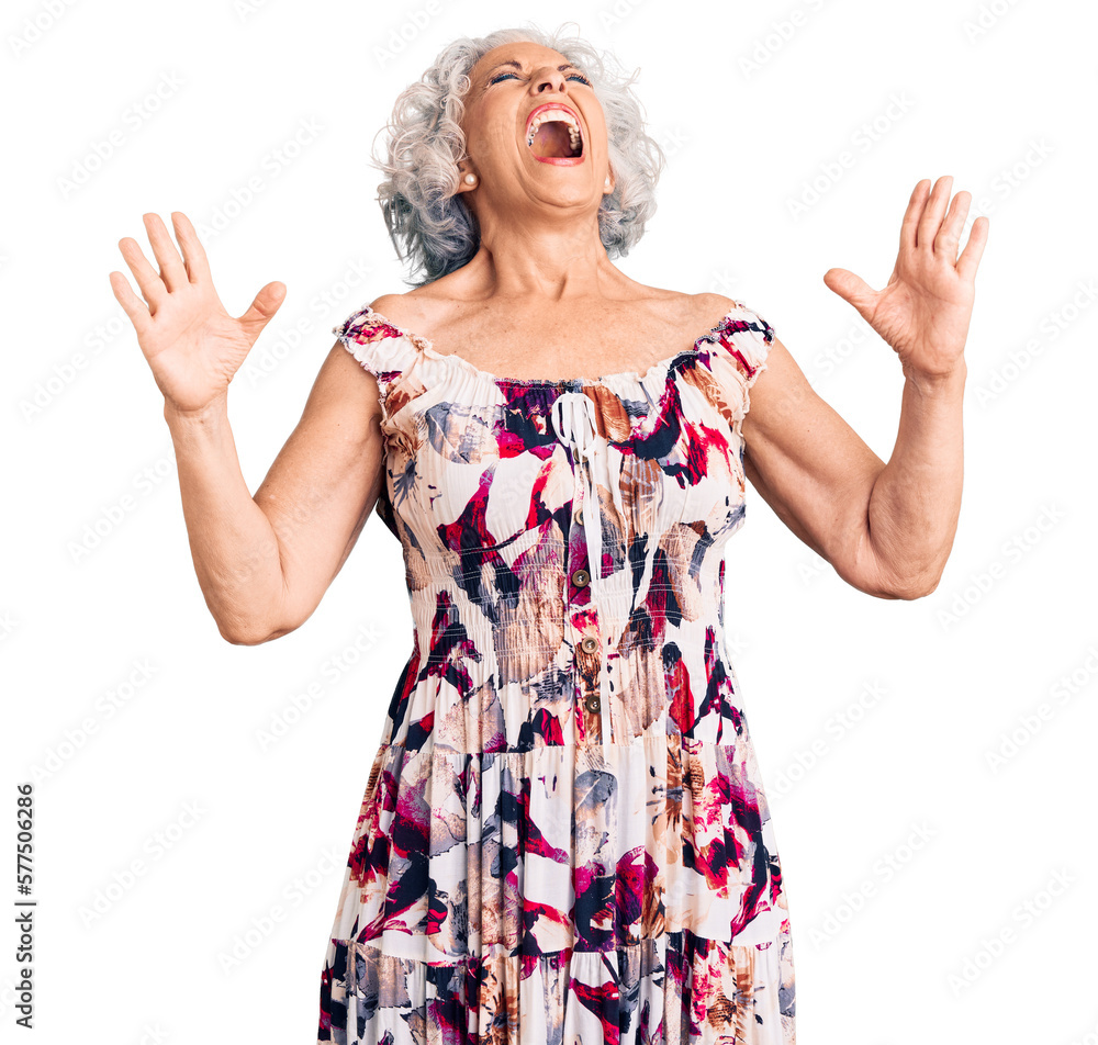 Senior grey-haired woman wearing casual clothes crazy and mad shouting and yelling with aggressive expression and arms raised. frustration concept. Senior grey-haired woman wearing casual clothes crazy and mad shouting and yelling with aggressive expression and arms raised. frustration concept.