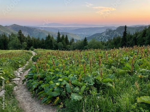 Tatry