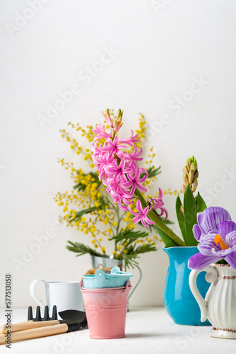Spring background with garden tools flowers copy space