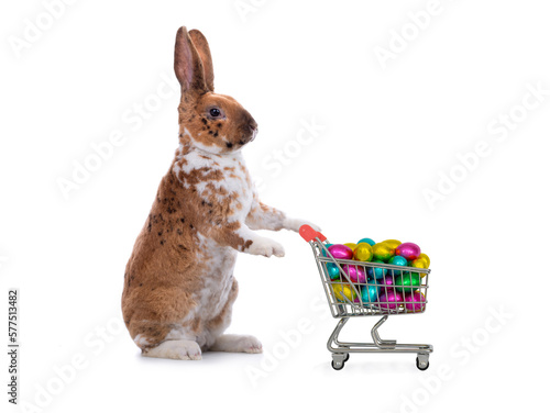 Canvas Print shopping trolley filled with multi-colored chocolates in the form of easter eggs