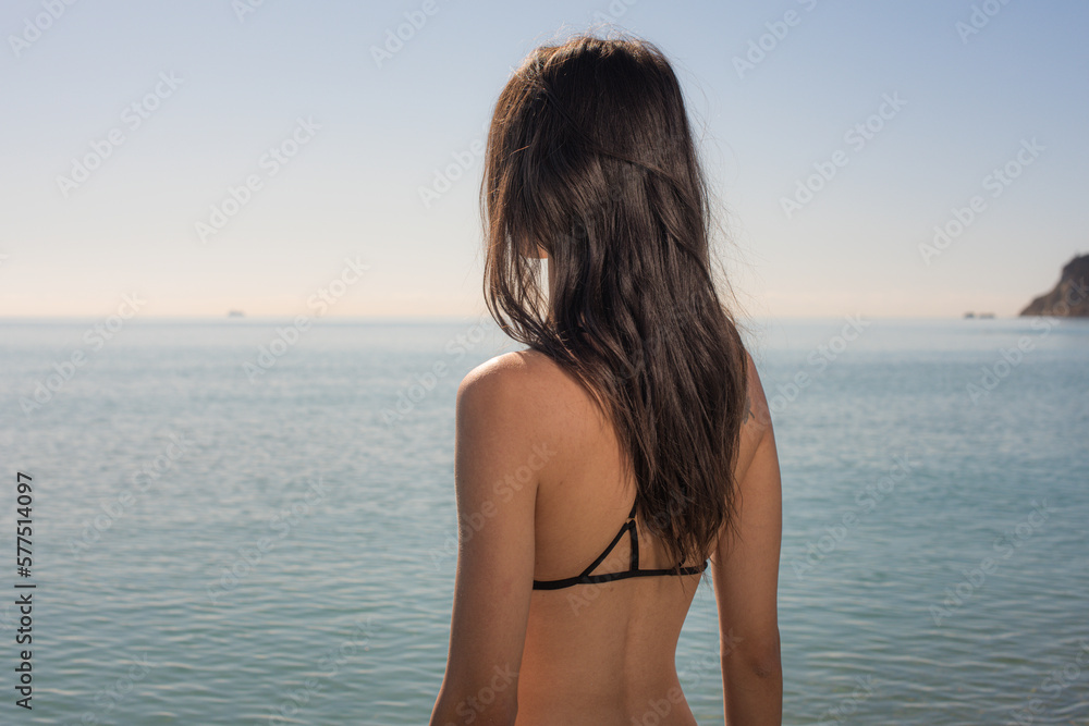 Donna in bikini in spiaggia, vista da dietro