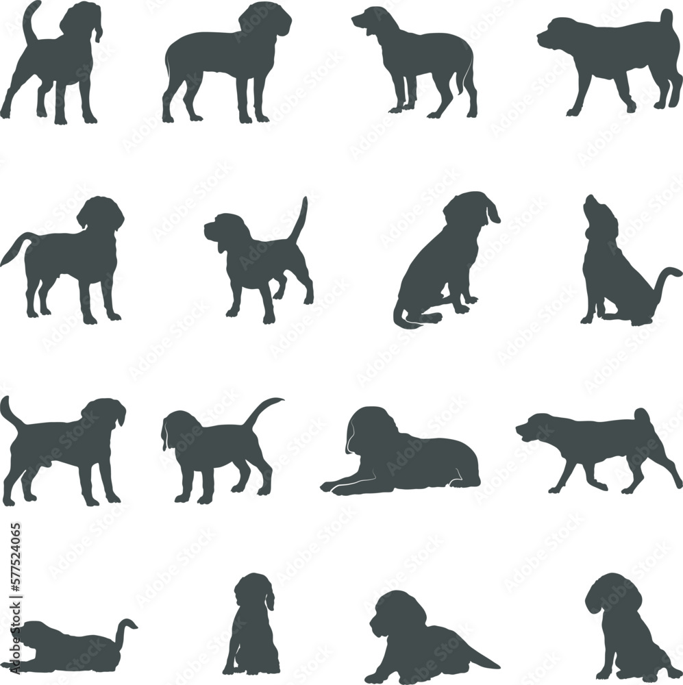 Obraz premium Beagle dog silhouettes, Beagle silhouette, Beagle SVG
