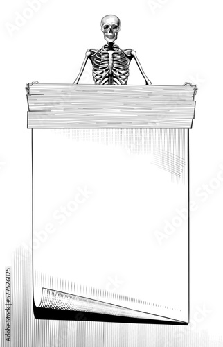 An empty photo frame layout on a white background. Human skeleton  with a long wood board banner isolated on white. Retro concept. Vintage engraving stylized drawing. Vector illustration. 