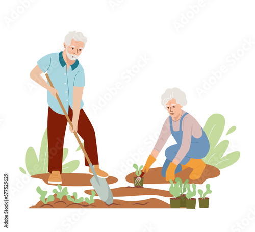 Senior people planting a plants. Retired man with a spade, woman weeds the beds working in the garden. Elderly people care, active lifestyle. Vector illustration in flat style with cartoon characters.