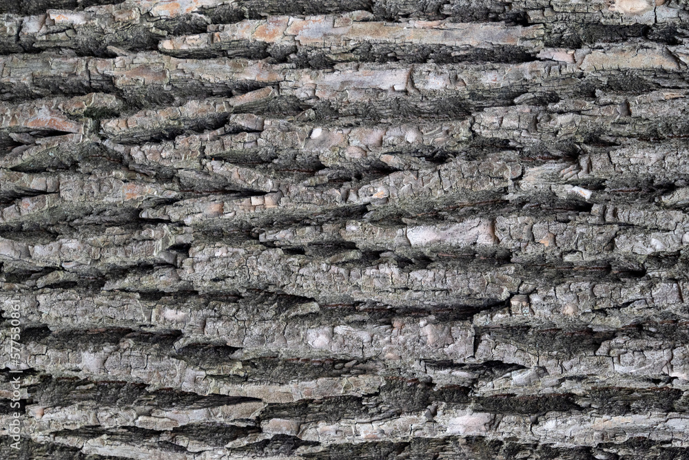 Clean and voluminous texture of the wooden surface. 4k photorealistic texture	
