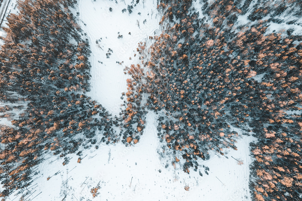 Field in winter forest from drone Field in winter forest from drone