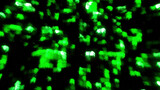 Dark background with green blue squares without focus. Motion. Light particles moving in different directions in 3d format.