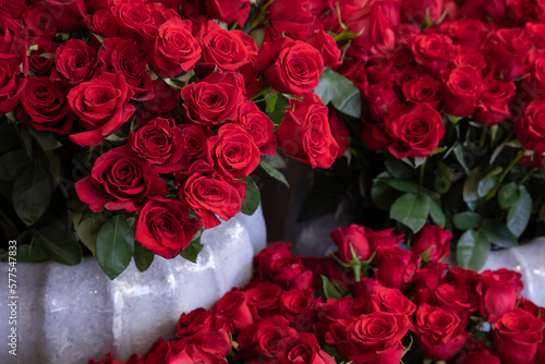 Variety of fresh cut red roses in the flower garden shop.
