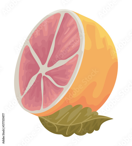 pink grapefruit with leaf