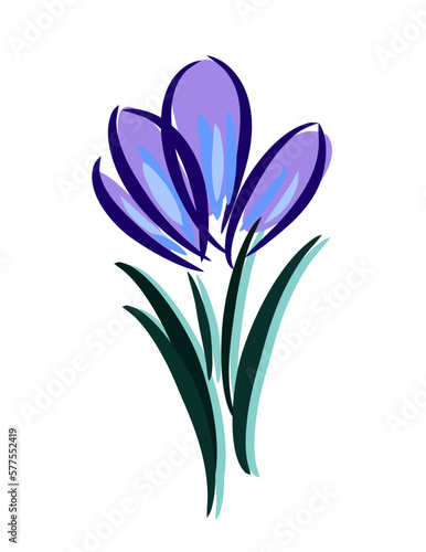 Crocus flower logo. Saffron icon. Blooming flora spring. Beautiful spring flower.