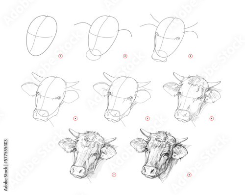 Page shows how to learn to draw sketch a cow head. Pencil drawing lessons. Educational page for artists. Textbook for developing artistic skills. Online education. Vector illustration. photo