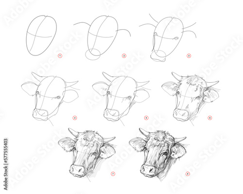 Page shows how to learn to draw sketch a cow head. Pencil drawing lessons. Educational page for artists. Textbook for developing artistic skills. Online education. Vector illustration.