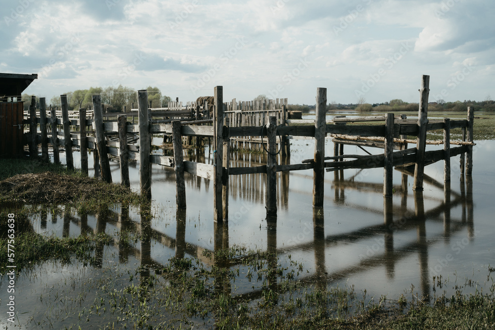 pier pier