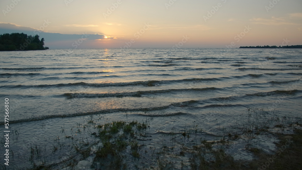 Grass and mud in shallow water with sunset. Creative. Grass in shallow water with water and small waves on horizon background. Waves and mud move with setting sun on summer evening