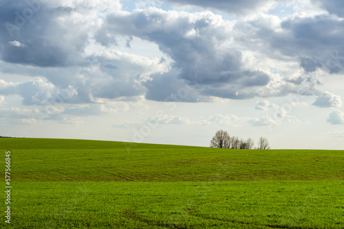 field and blue sky