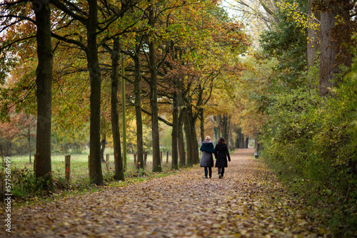 Herbstspaziergang