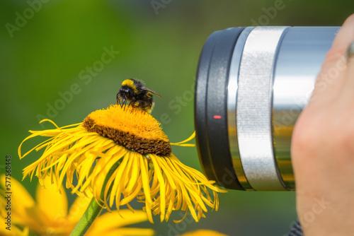 Makrofotografie