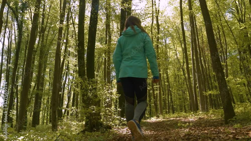 LOW ANGLE VIEW: Spring-green beech forest with sporty woman walking along path. Amazing spring-awakened nature in deciduous woodland area. She is relaxing among lively greenery that surrounds her. LOW ANGLE VIEW: Spring-green beech forest with sporty woman walking along path. Amazing spring-awakened nature in deciduous woodland area. She is relaxing among lively greenery that surrounds her.