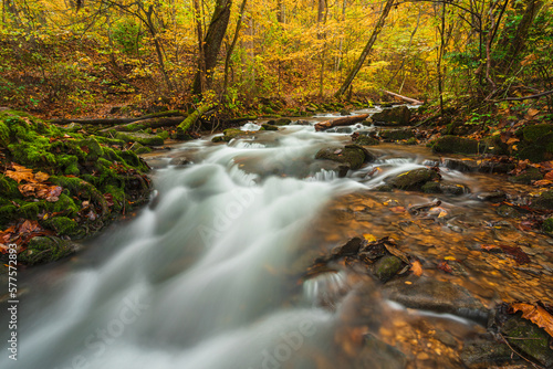 Fototapeta Naklejka Na Ścianę i Meble -  Natural spring water stream flowing through autumn colored forest. 