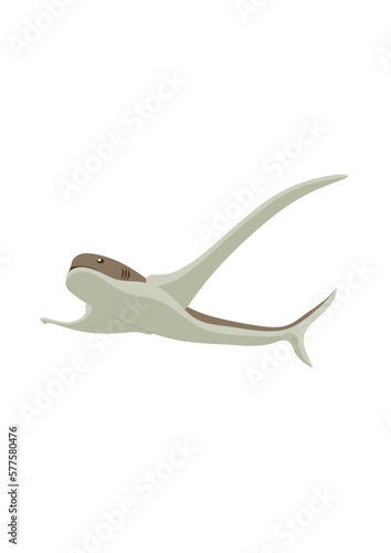 Eagle Shark