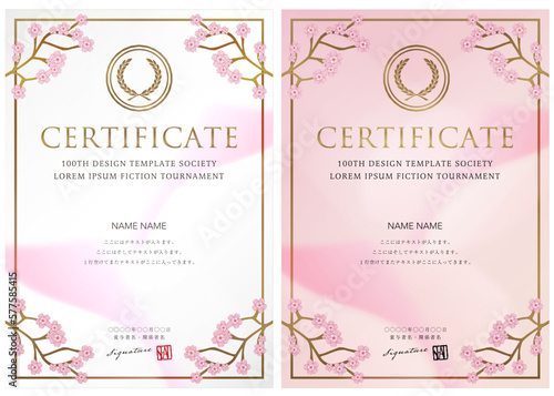 賞状１０６　certificate　ディプロマ　表彰状　卒業証	