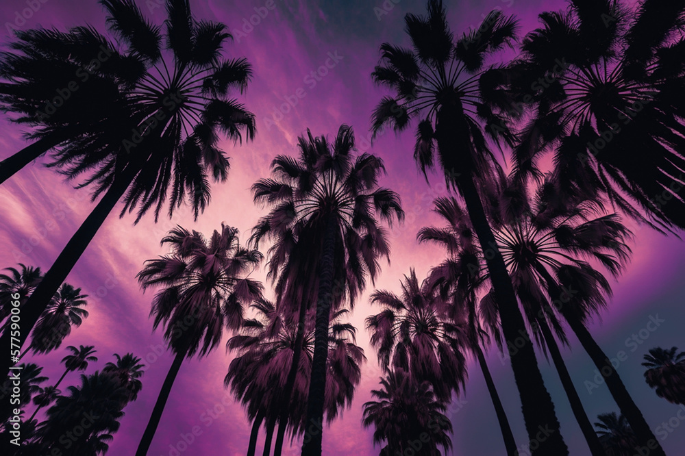 palm tress with purple sky