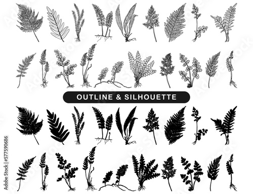 ferns silhouette and outline set