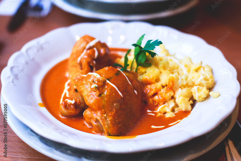 Traditional hungarian dish - chicken paprikash with egg noodles in Budapest, Hungary Traditional hungarian dish - chicken paprikash with egg noodles in Budapest, Hungary
