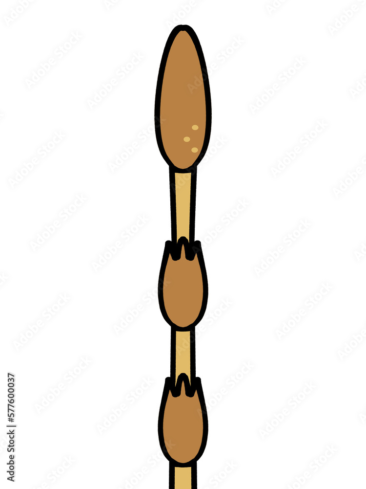 つくしのイラスト素材 つくしのイラスト素材