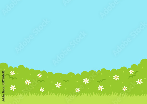 Flowering hedges bushes and grass. Spring nature background.