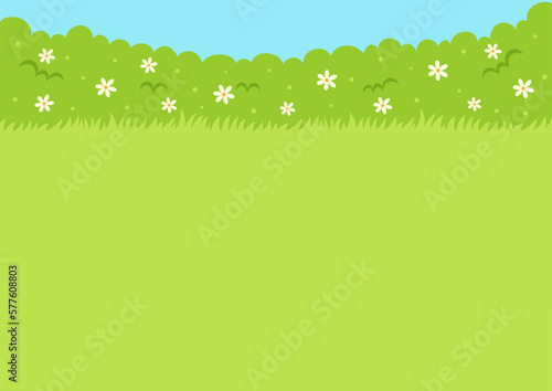 Flowering hedges bushes and grass. Spring nature background.