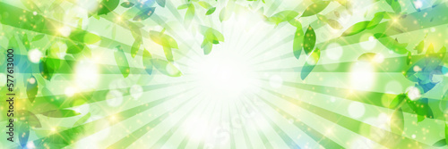 新緑　葉　風景　背景