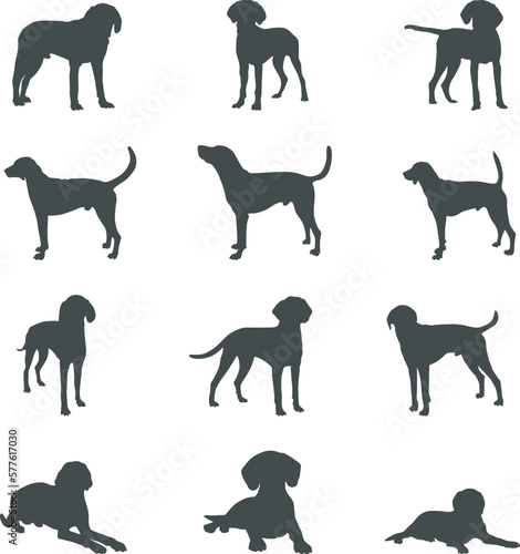 American foxhound dog silhouettes  American foxhound silhouette  American foxhound Svg  American foxhound vector