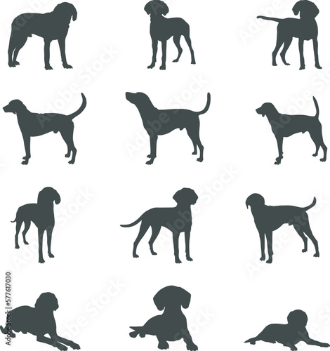 Obraz na plátne American foxhound dog silhouettes, American foxhound silhouette, American foxhou
