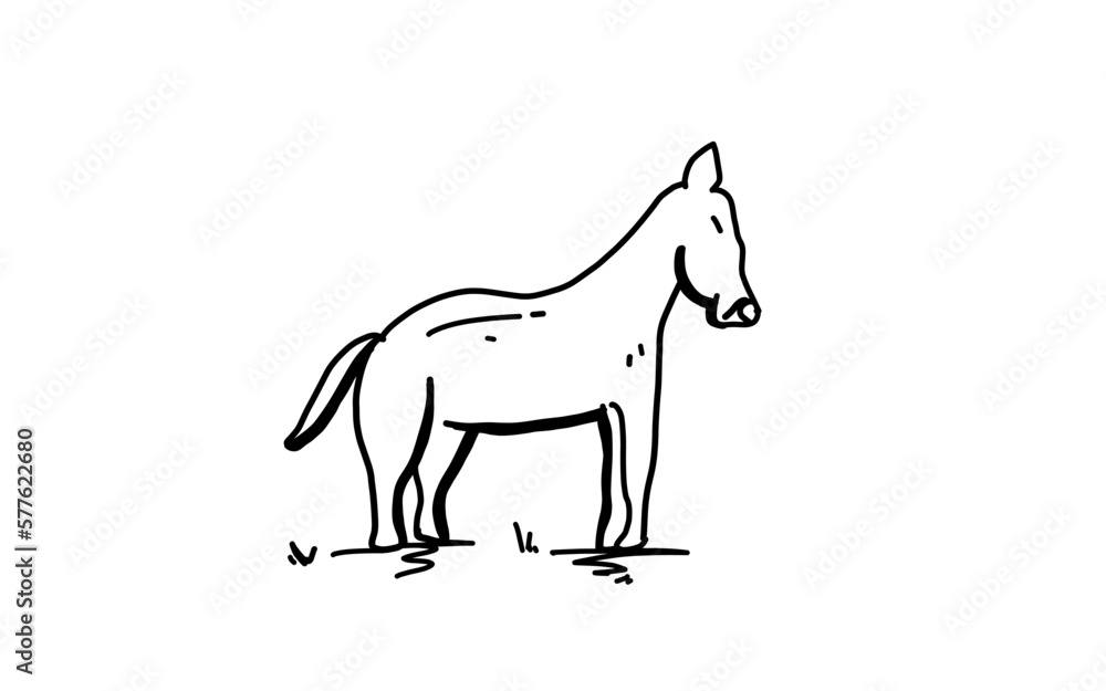 Fototapeta premium A HORSE Doodle art illustration with black and white style.